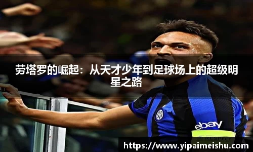 k体育平台